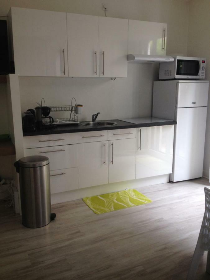 Le Croix Roussien Centre Appartement *